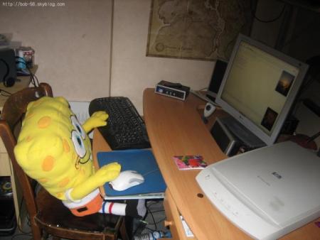 bob sur msn